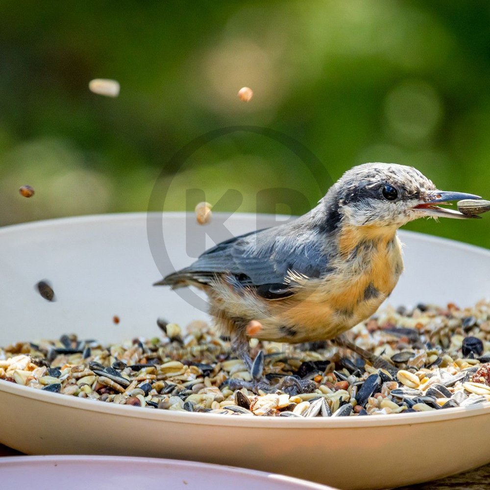 Kaytee Supreme Wild Bird Food 25-lb, Kaytee