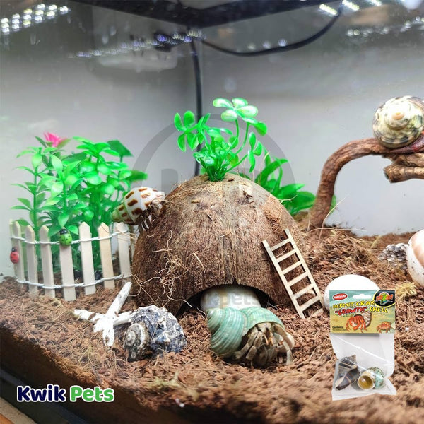 Zoo Med Hermit Crab Growth Shell Decoration