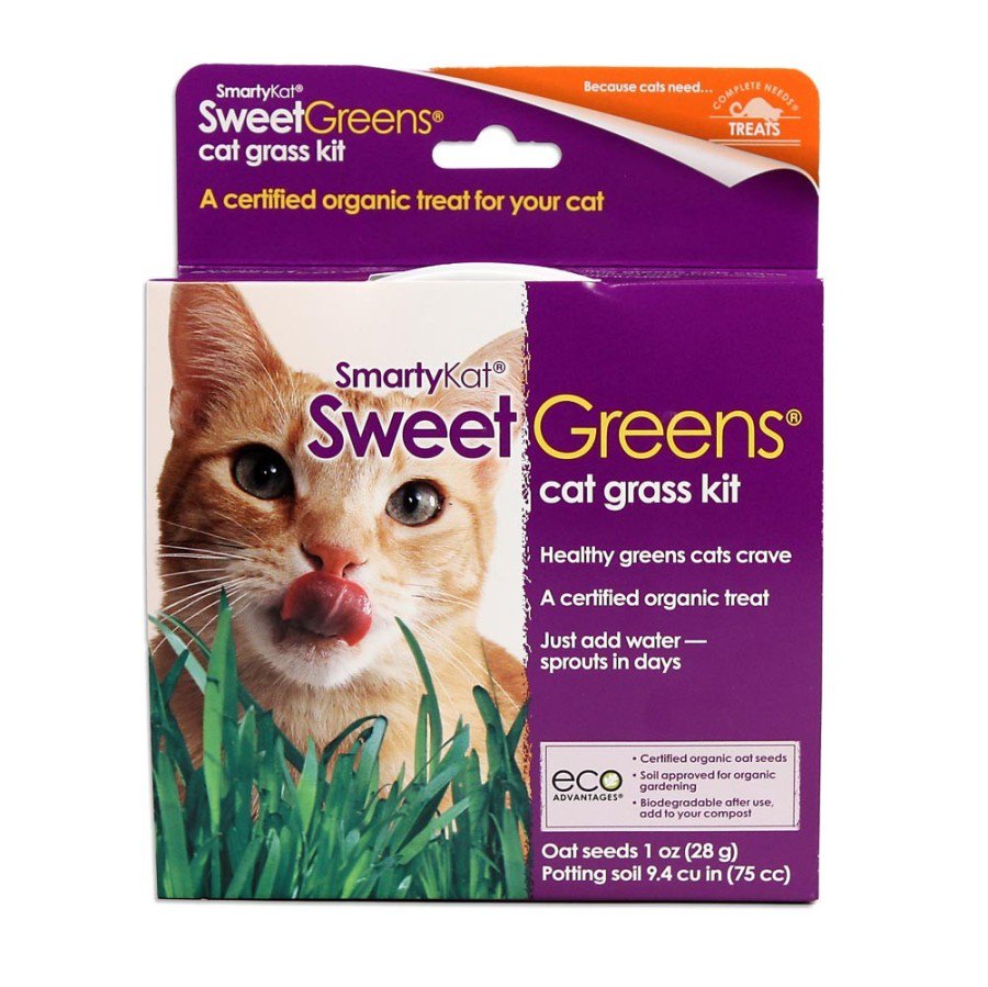 SmartyKat Sweet Greens Cat Grass Seed  Kit 1-oz, Kwik Pets