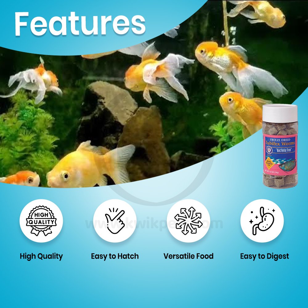 San Francisco Bay Brand Bacteria Free Tubifex Worms Freeze-Dried Fish Food 0.5-oz, Kwik Pets