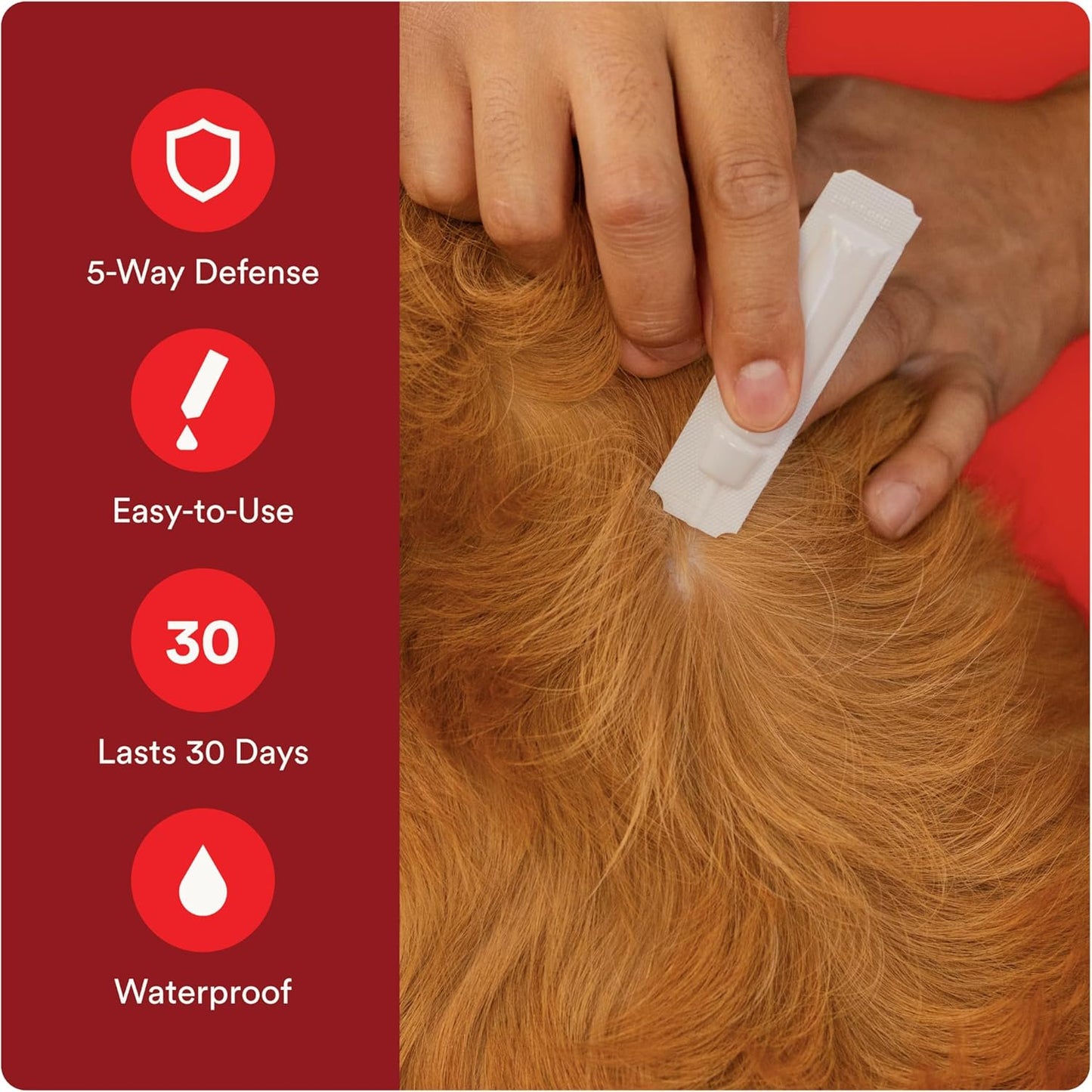 Sentry Worm X Plus 7 Way De-Wormer for Medium & Large Dogs 6 Count, Kwik Pets