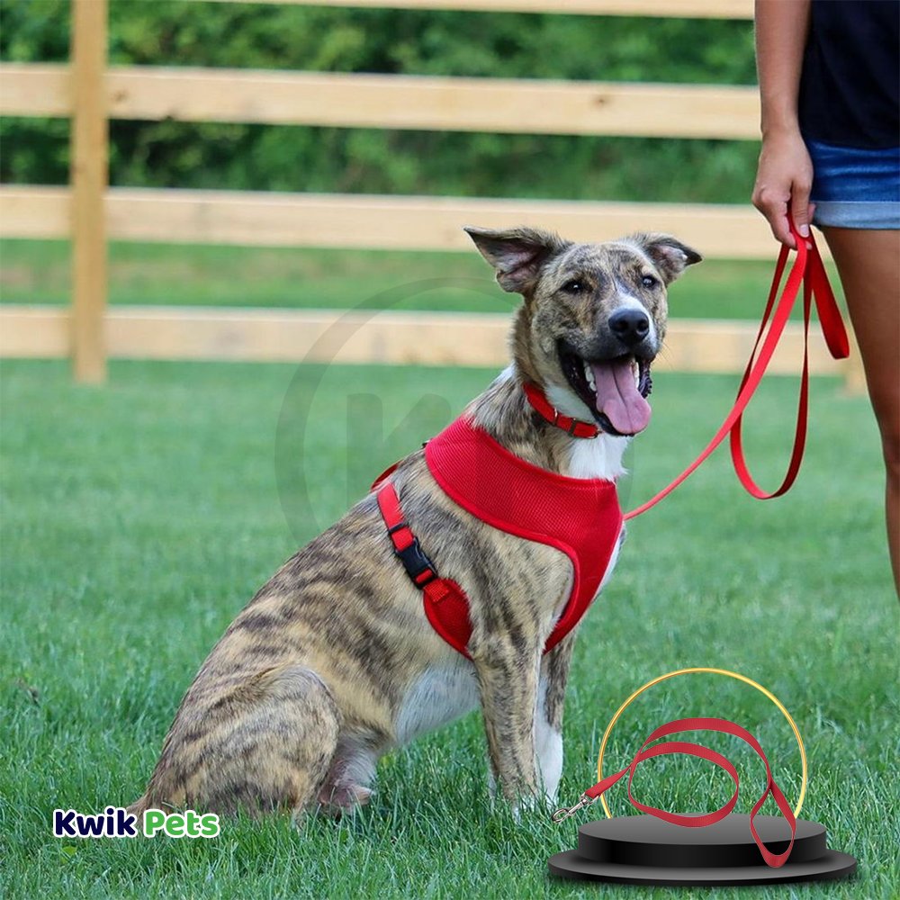 Dog Image of Coastal Single-Ply Nylon Dog Leash Red 3/8 in X 6 ft