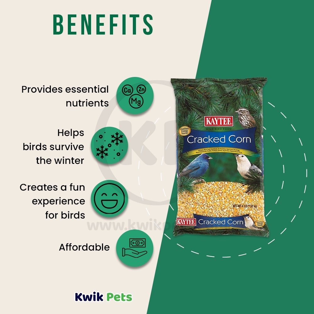 Kaytee Cracked Corn 4lb, Kaytee