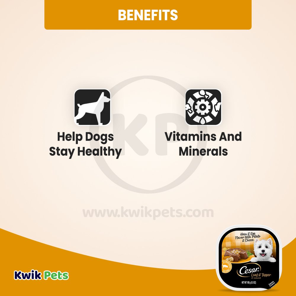 Cesar Loaf & Topper in Sauce Adult Wet Dog Food Ham & Egg w/Potato & Cheese 3.5-oz, Kwik Pets