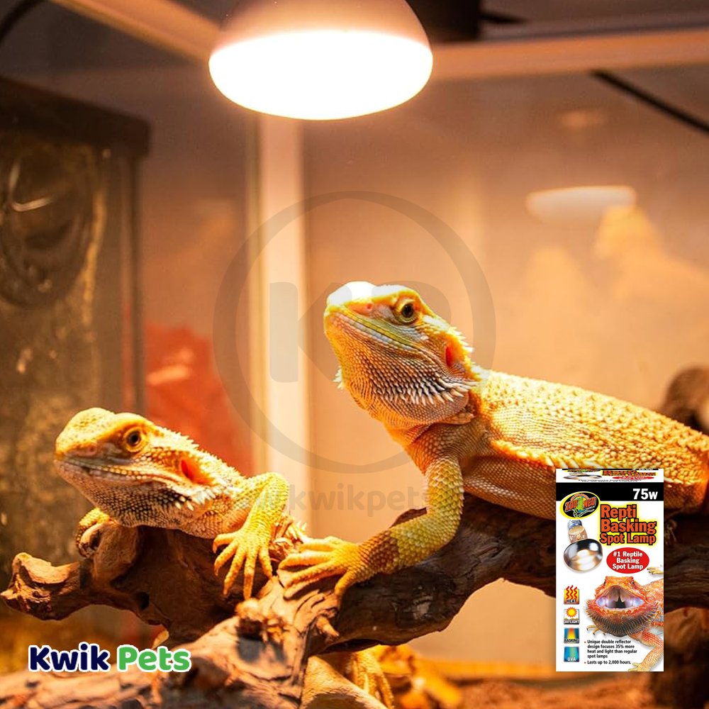 Zoo Med Repti Basking Spot Lamp 75W, Kwik Pets