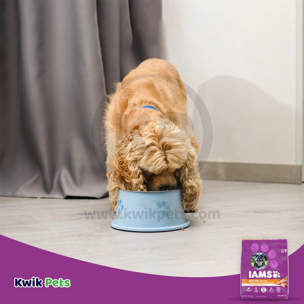 Dog Image of IAMS Mature Adult Senior Dry Dog Food Real Chicken 29.1-lb