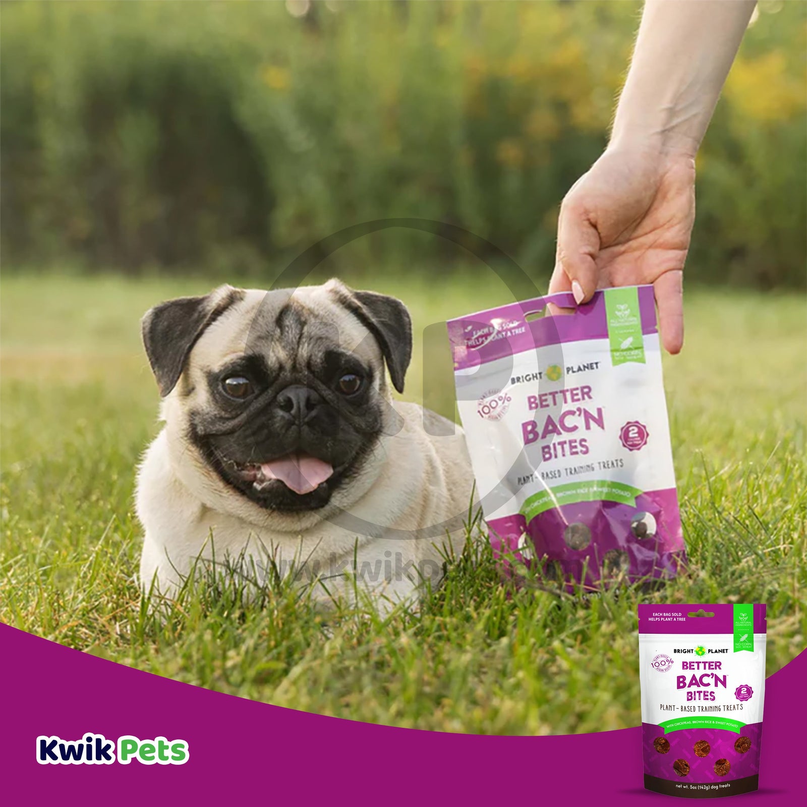 Bright Planet Better Bac'n Bites Plant-Based Training Dog Treats