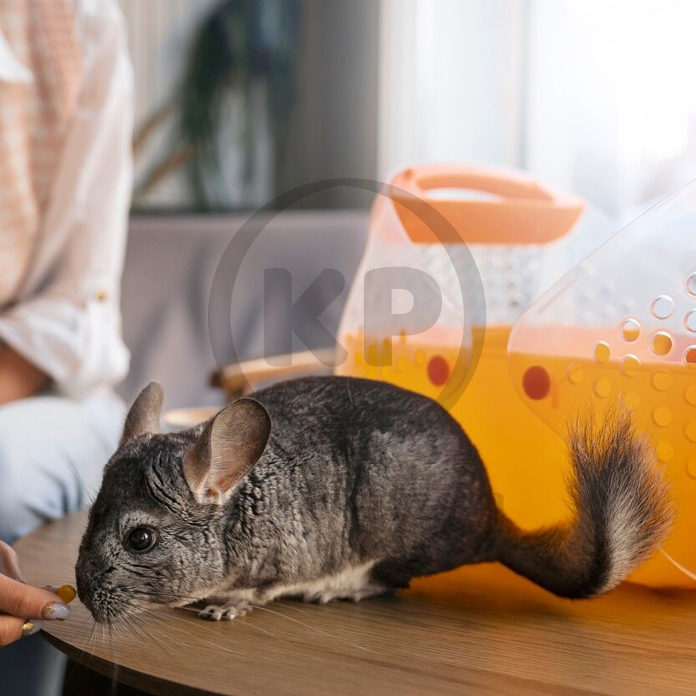 Super Pet Perfect Chews for Chinchillas - 6" Long x 2" Wide, Kaytee