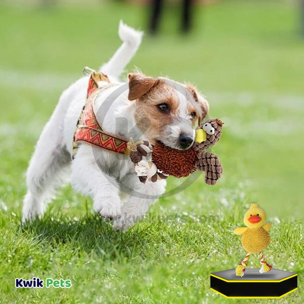 Ethical Pet Spot Giggler Pals Plush Dog Toy Assoted 12-in, Kwik Pets