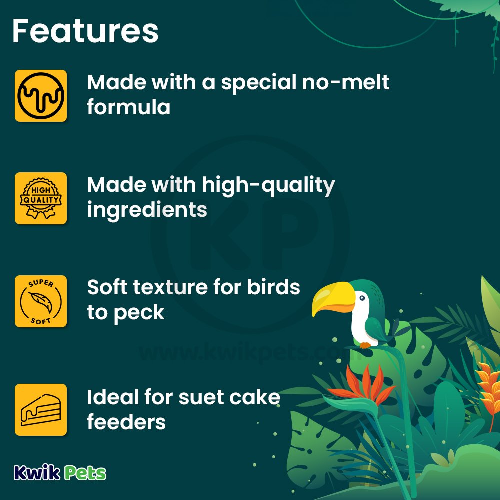 Features of C&S High Energy Suet Treat for Wild Birds 11.75-oz