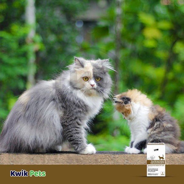 Elanco Tapeworm Dewormer (praziquantel tablets) for Cats & Kittens 3 Count