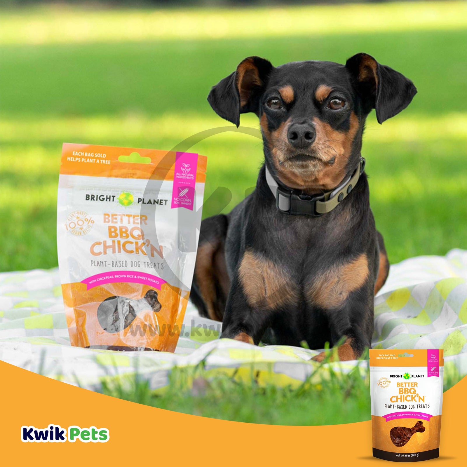 Bright Planet Pet Better BBQ Chick'n Plant-Based Dog Treats