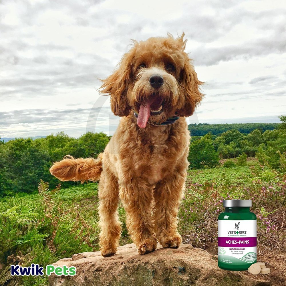 Dog Image of Vet's Best Aches & Pains Dog Chewable Tablets 50 Count