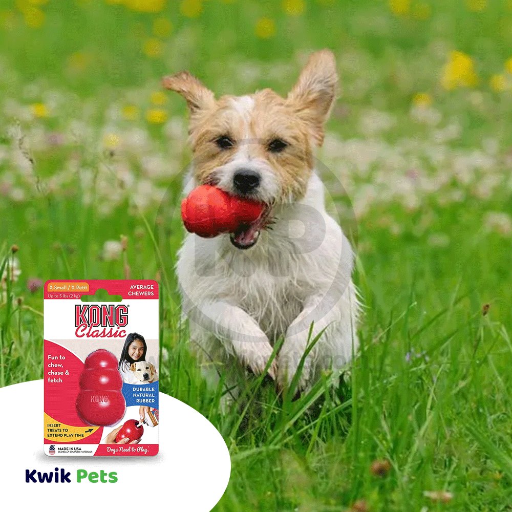 KONG Classic Dog Toy XXS, Kwik Pets