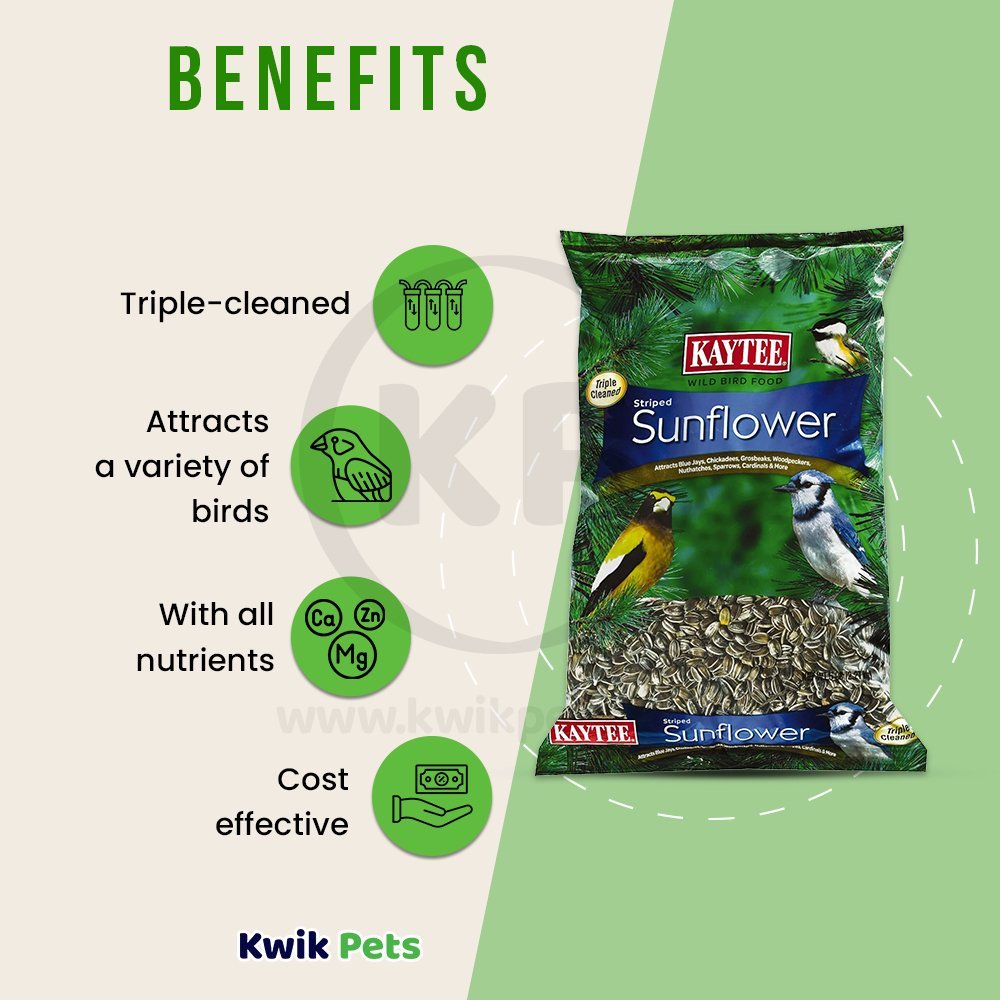 Kaytee Striped Sunflower Wild Bird Food 5-lb, Kaytee