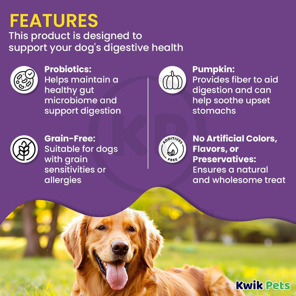 Cloud Star Dynamo Dog Tummy Functional Treats Pumpkin & Ginger 14-oz, Kwik Pets