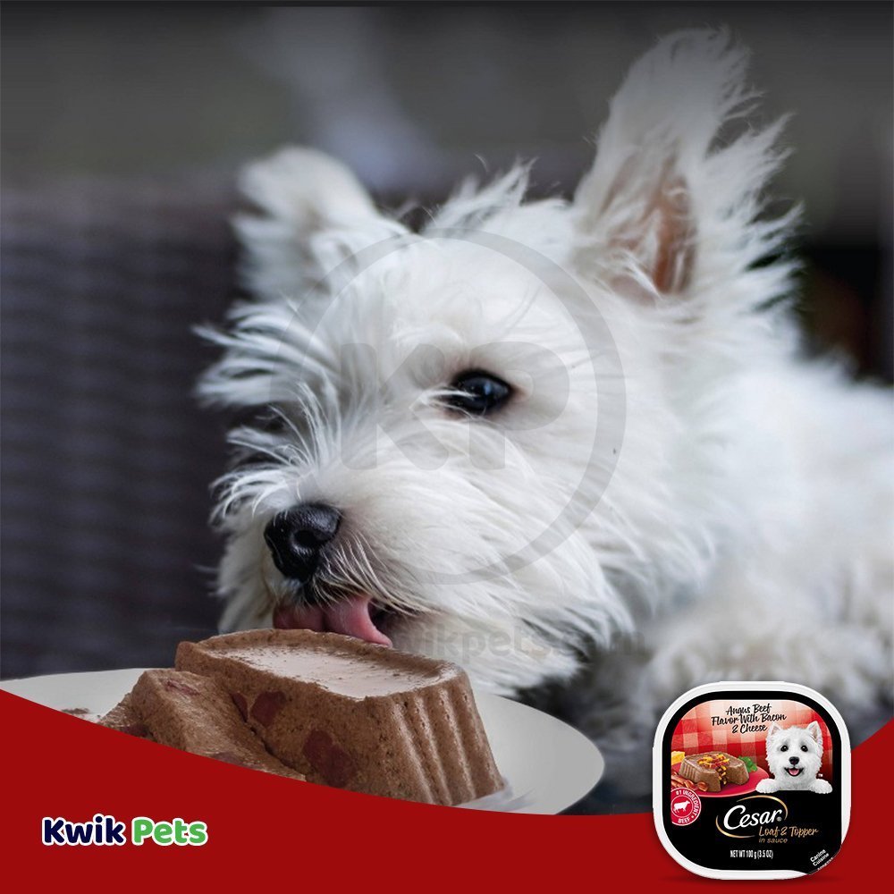 Cesar Loaf & Topper in Sauce Adult Wet Dog Food Angus Beef w/Bacon & Cheese 3.5-oz