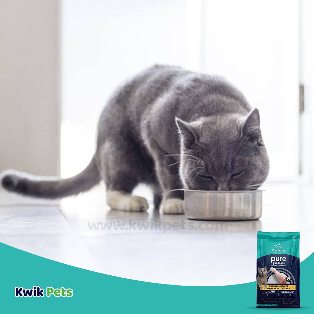 LifeStyle of CANIDAE Pure Goodness Grain-Free LID Dry Cat Food Elements Formula w/Chicken 5-lb