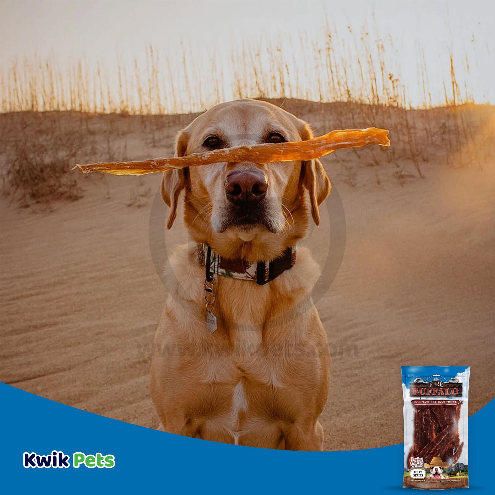 Dog Image of Loving Pets Pure Buffalo Meat Strips Dog Treat 3.5-oz