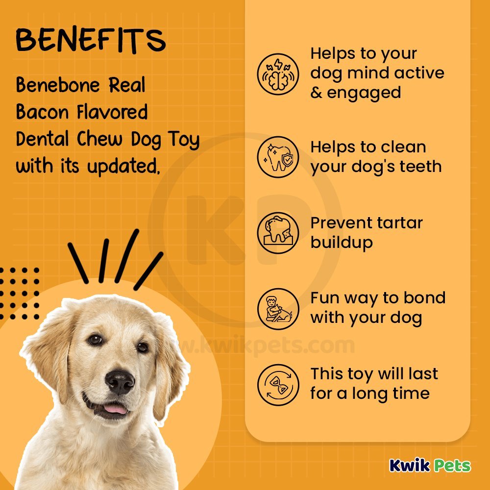 Benebone Dental Chew Dog Toy Bacon Medium, Kwik Pets