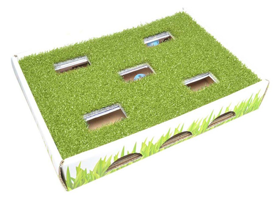 Petstages Grass Patch Hunting Box Cat Scratcher Toy