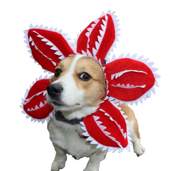 PAWPAWwholesale Demon Flower Halloween Dog & Cat Costume Red Medium