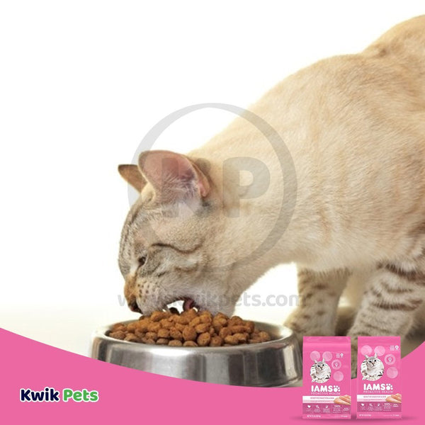 Hungry Cat Eating - IAMS Proactive Health Sensitive Digestion & Skin Adult Dry Cat Food Turkey 6-lb