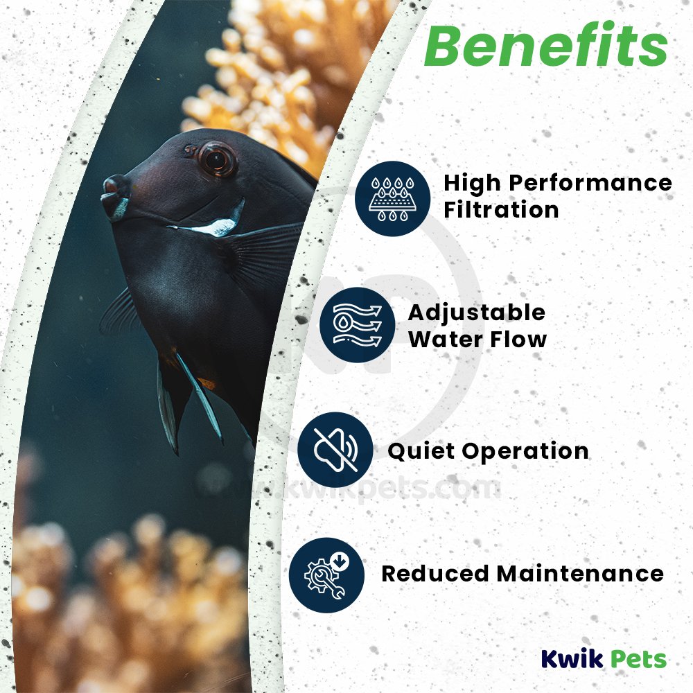 Sicce SHARK ADV 600 Internal Filter for Aquarium 158 GPH, Kwik Pets
