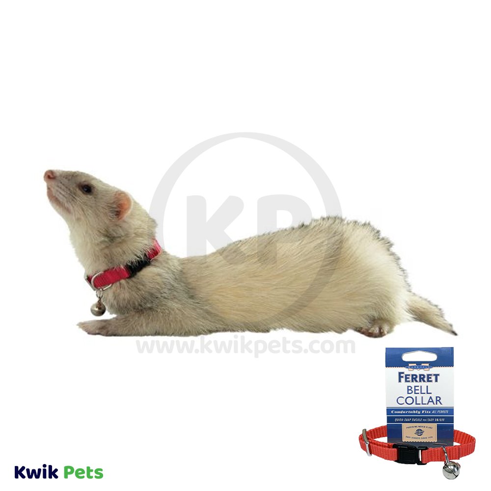 Marshall Pet Products Ferret Bell Collar Red, 3/8 in, Kwik Pets