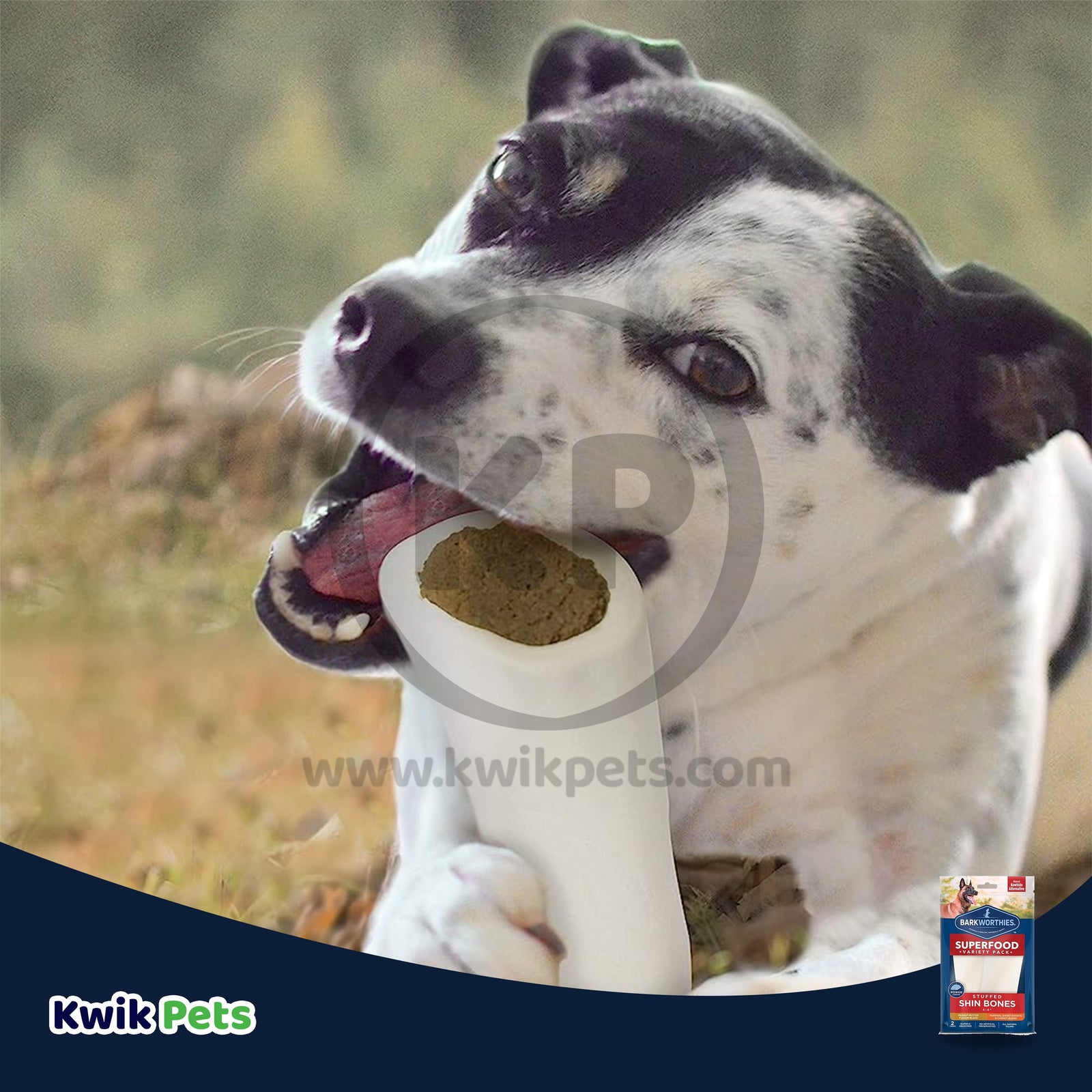 Barkworthies Dog stuffed shin bone peanut butter large