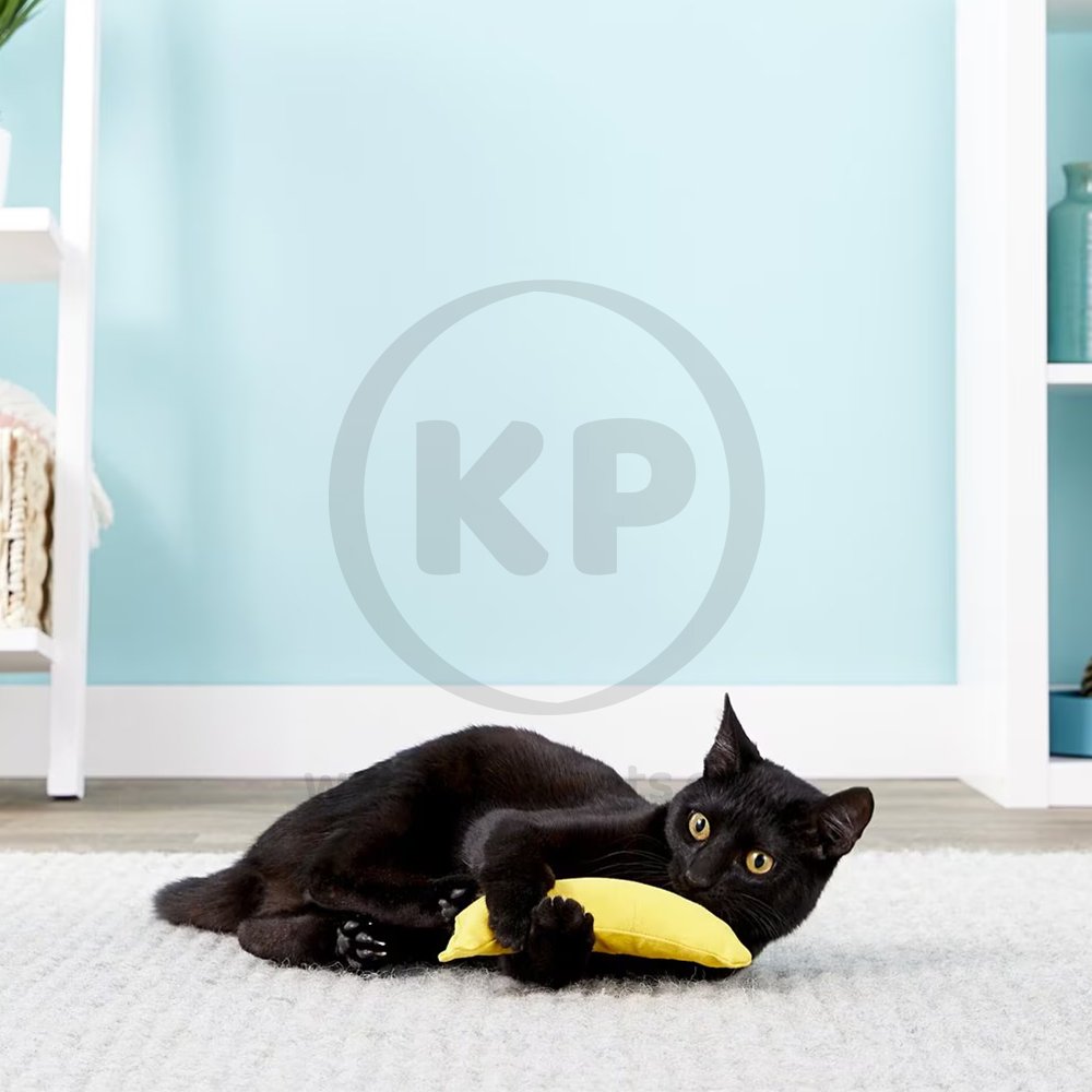 LifeStyle of Yeowww! Banana Catnip Cat Toy Yellow 7-in