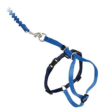 PetSafe Premier Come With Me Kitty Harness & Bungee Leash Combo Royal Blue/Navy Medium, Kwik Pets