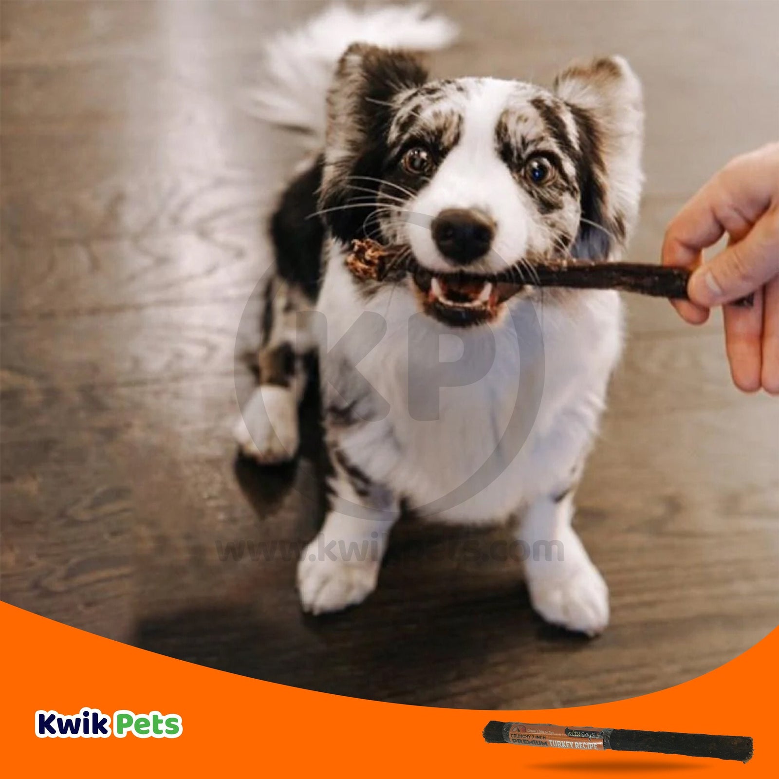 Etta Says! Premium Crunchy Turkey Chews Dog Treat