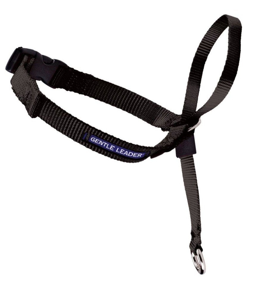 PetSafe Gentle Leader No-Pull Dog Headcollar Black Small, Kwik Pets