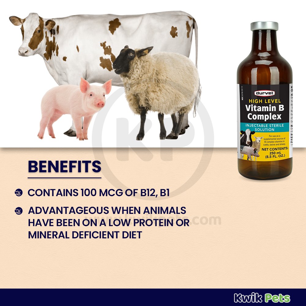 Durvet High Level Vitamin B Complex for Livestock