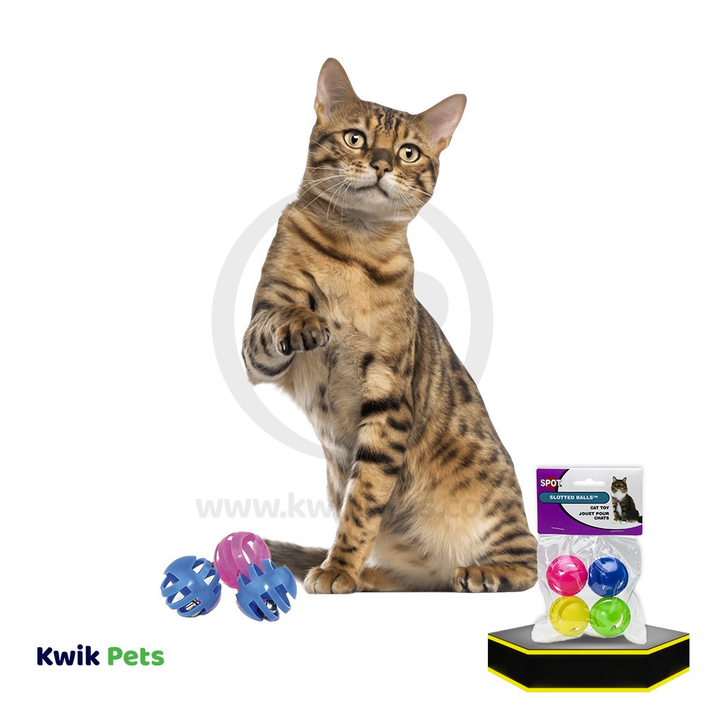 Cat Playing with Ethical Pet Spot Slotted Balls Cat Toy Multicolor 4 Count