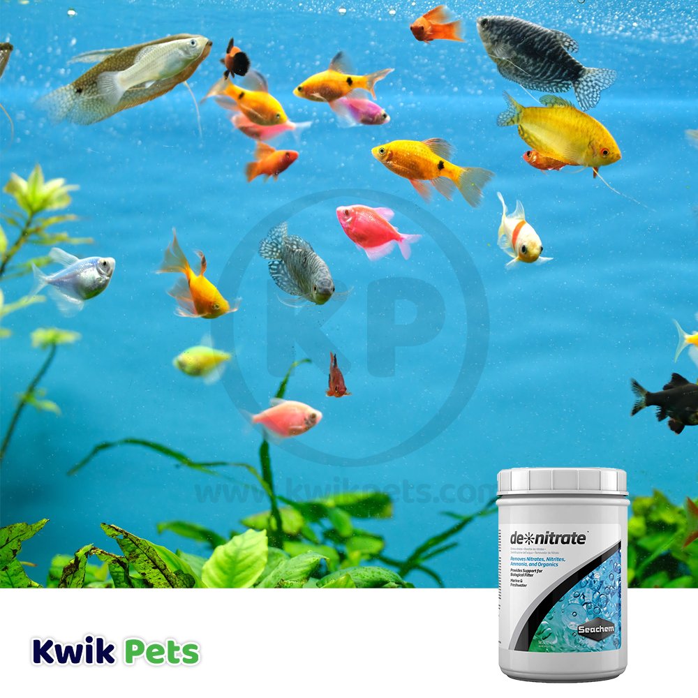 Seachem Laboratories de nitrate Nitrate Remover 2 Liter Kwik Pets