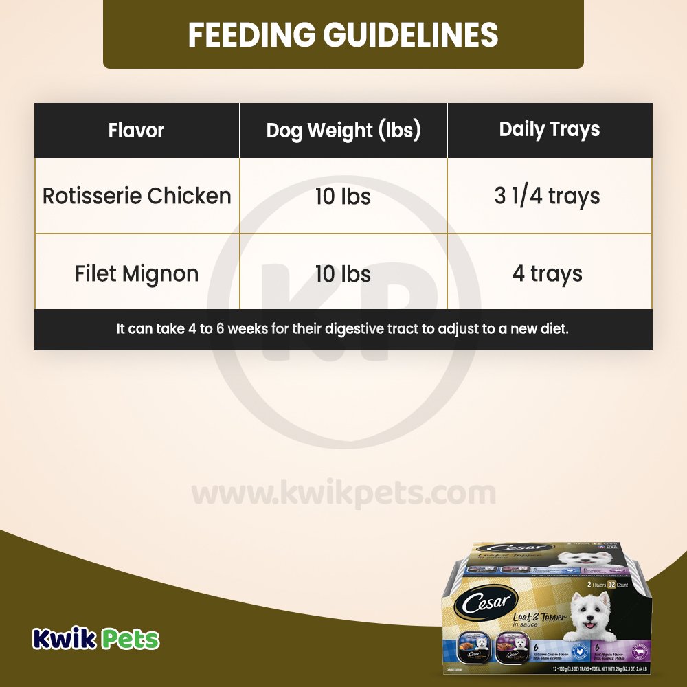 Cesar Loaf & Topper in Sauce Adult Wet Dog Food Variety Pack Rotisserie Chicken, Filet Mignon 12 Count 3.5-oz, Kwik Pets