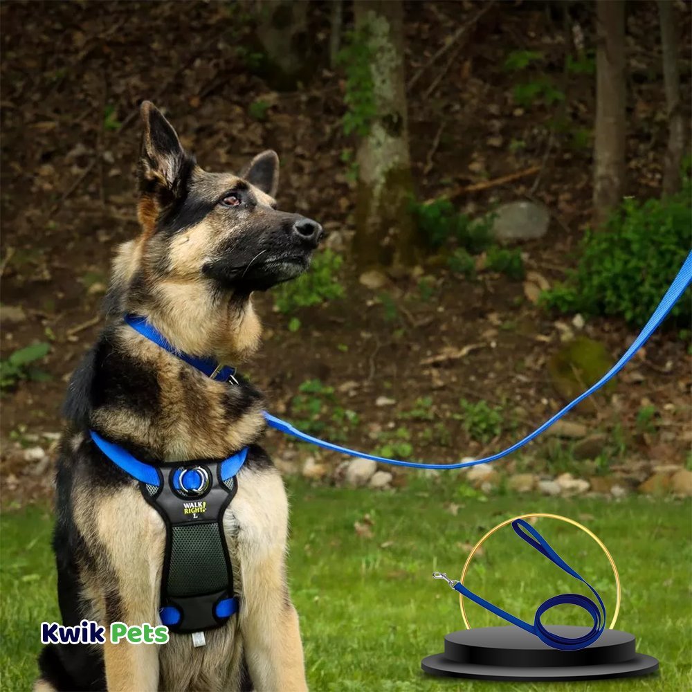 Coastal Single-Ply Nylon Dog Leash Blue 5/8 in X 6 ft, Kwik Pets