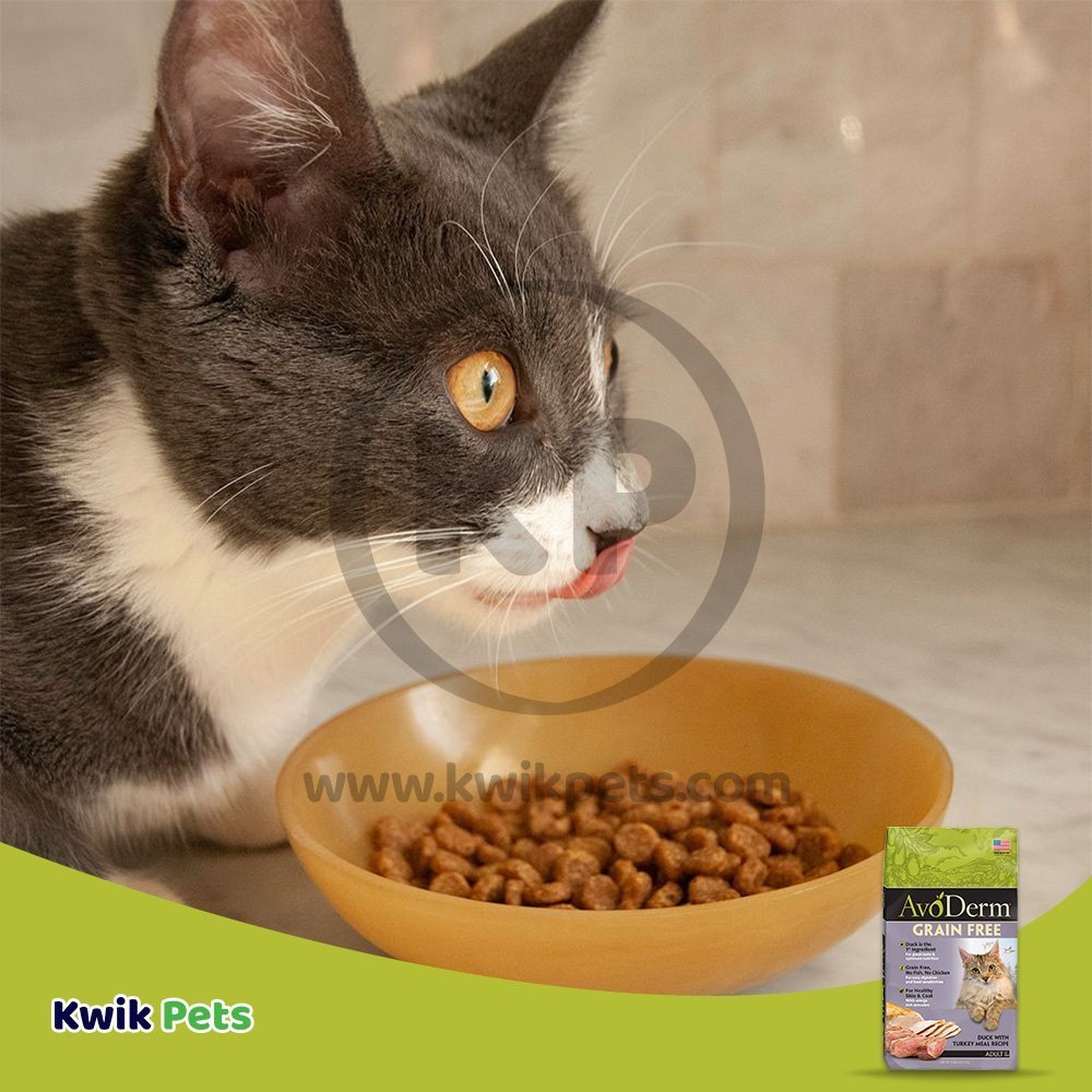 Cat Eating AvoDerm Natural Grain Free Duck with Turkey Meal Dry Cat Food, 2.5-lb