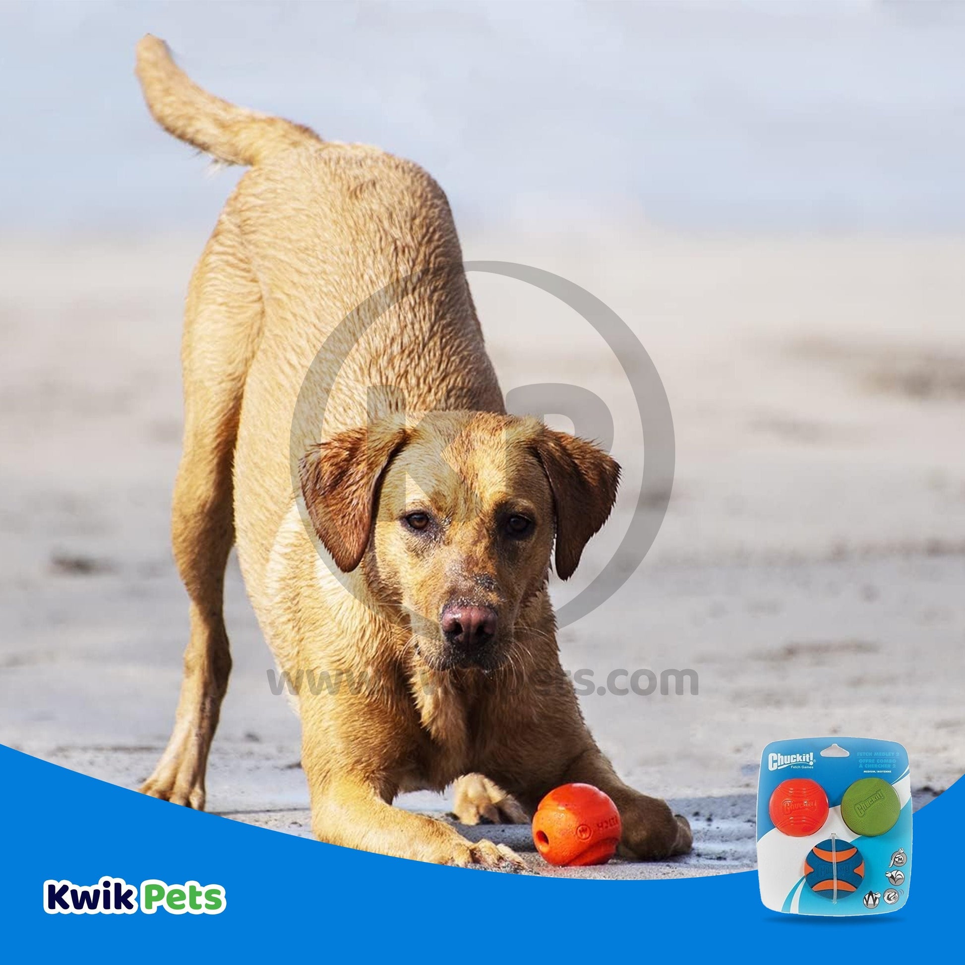 Dog Image of Chuckit! Fetch Medley Balls Dog Toy Assortment 2, Multi-Color 3pk, Medium