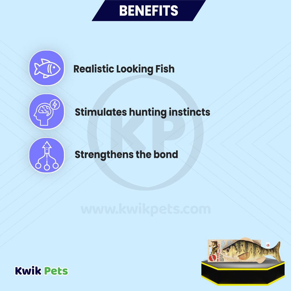 Benefits of Ethical Pet Spot Gone Fishin' Teaser Wand Cat Toy with Catnip Assorted