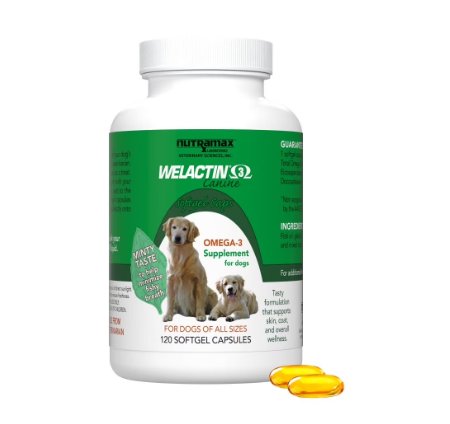 Nutramax Laboratories Welactin Omega-3 Fish Oil Skin Liquid Softgels Skin & Coat Supplement for Dogs 120 Count