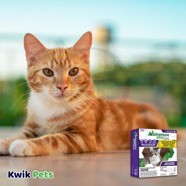 Promika Adventure Plus 4-Month Supply Flea & Tick Prevention for Cats Over 9-lbs 4 Count, Kwik Pets