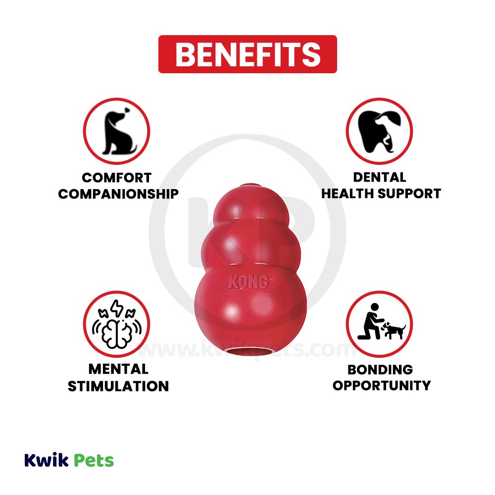 KONG Classic Dog Toy, Medium, KONG