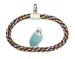 JW Pet Swing N Perch Ring Bird Toy Multicolor Large