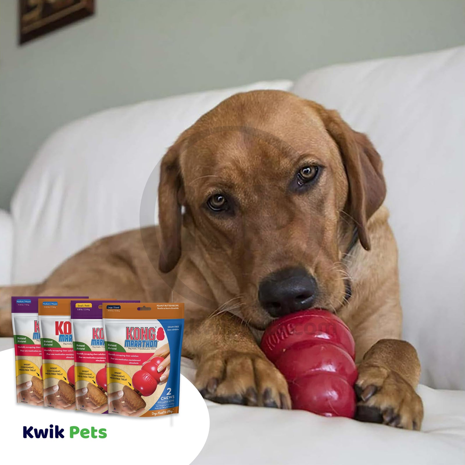 KONG Marathon Chicken Dog Treats 2 Count