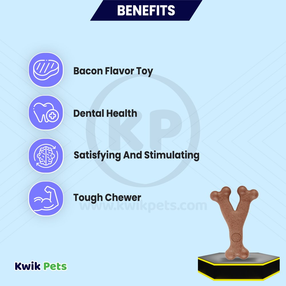Ethical Bam-Bone Wish Bone Bacon Dog Toy 7 in, Ethical