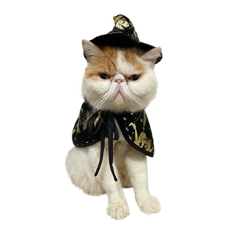 PAWPAWwholesale Halloween Witch Dog & Cat Costume Black