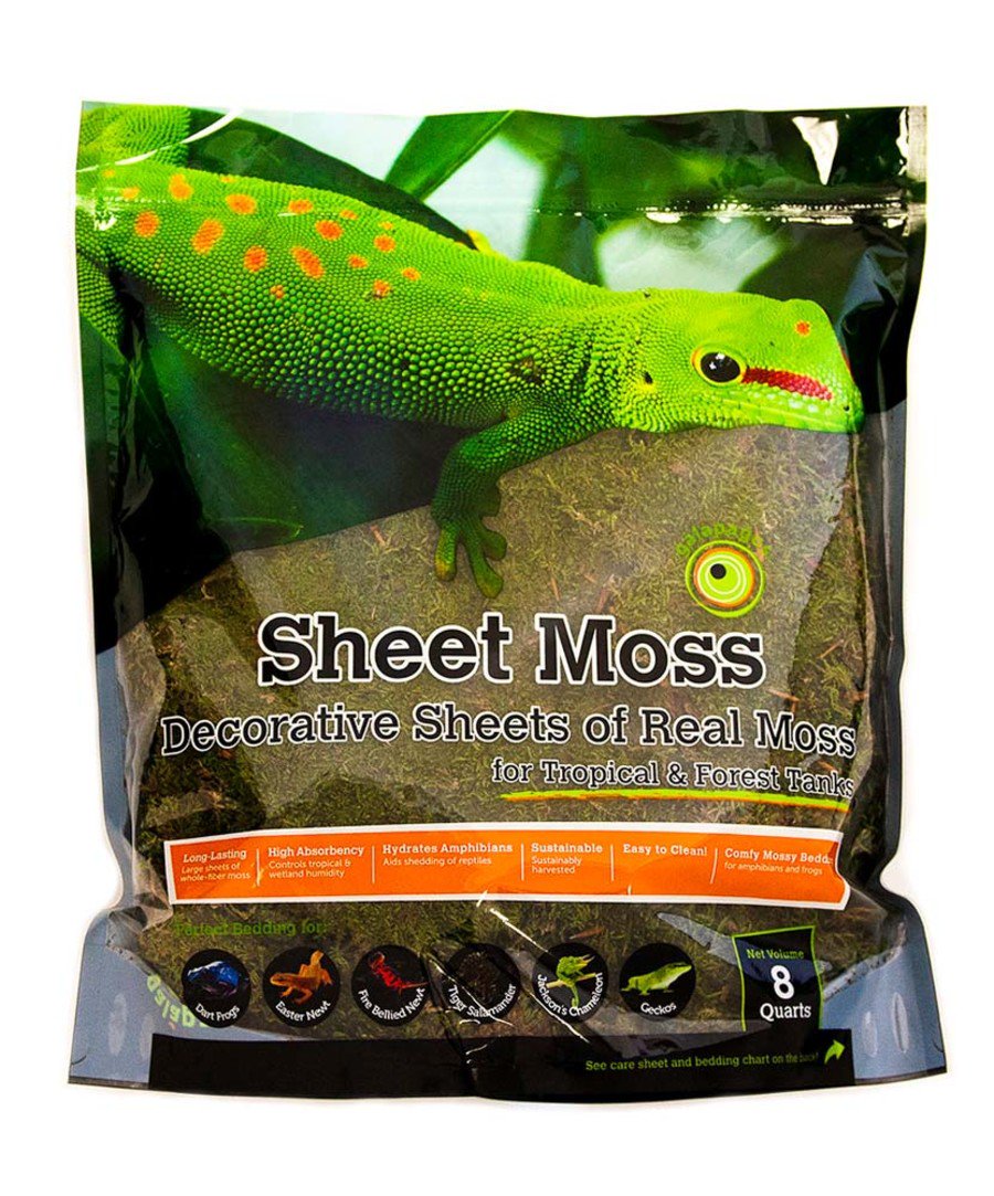 Galapagos Sheet Moss Reptile & Amphibian Decorative Terrarium Real Moss Fresh Green 8 Quarts, Kwik Pets